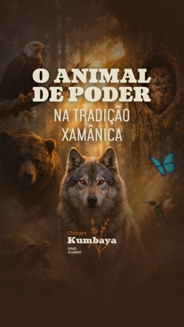 🪶 Na tradição xamânica, o animal de poder não é apenas um símbolo.

É um arquétipo vivo de força, instinto e sabedoria.
Cada animal representa qualidades que podem orientar o caminho, fortalecer o espírito e ampliar a percepção.

O lobo ensina sobre o grupo e a intuição.

A águia fala da visão e da clareza.

O urso traz força e introspecção.

A coruja revela o que está oculto.

Mais do que “ter” um animal de poder, o convite é aprender com ele.

🌿 A natureza ensina, para quem aprende a observar.

💬 E você sabe qual seu animal de poder? Comente qual seu animal de poder.

#animaldepoder #xamanismo #saberesancestrais #autoconhecimento #chacarakumbaya