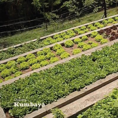 6_Easy-Resize.com (1)